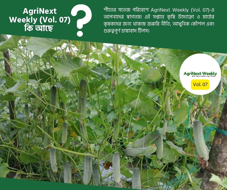 AgriNext Weekly (Vol. 07) শীতের সতেজতায় ছাদ হোক ফসলের মাঠ