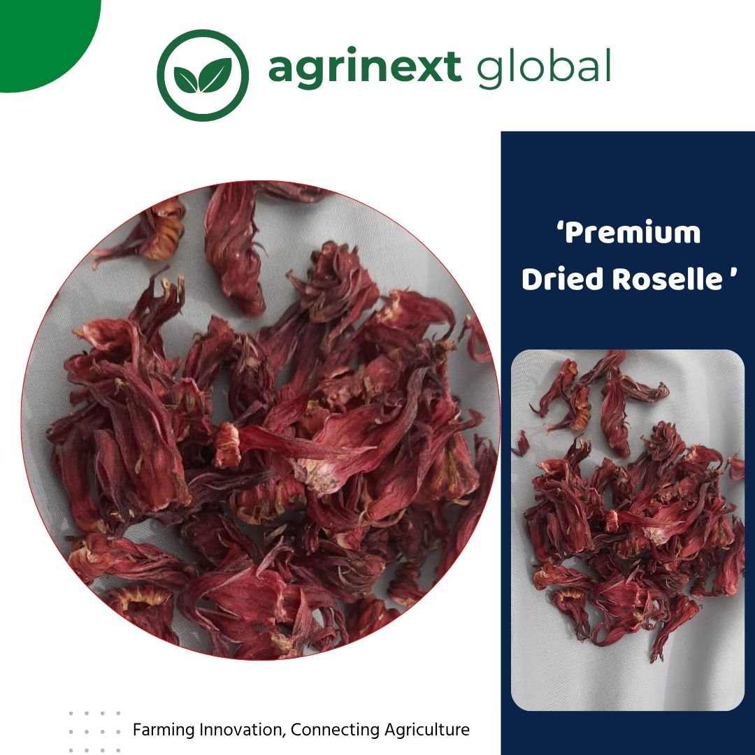 Premium Dried Roselle