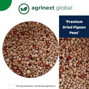 Dried Pigeon Peas