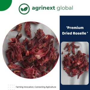 Best quality dried Roselle from Bangladesh